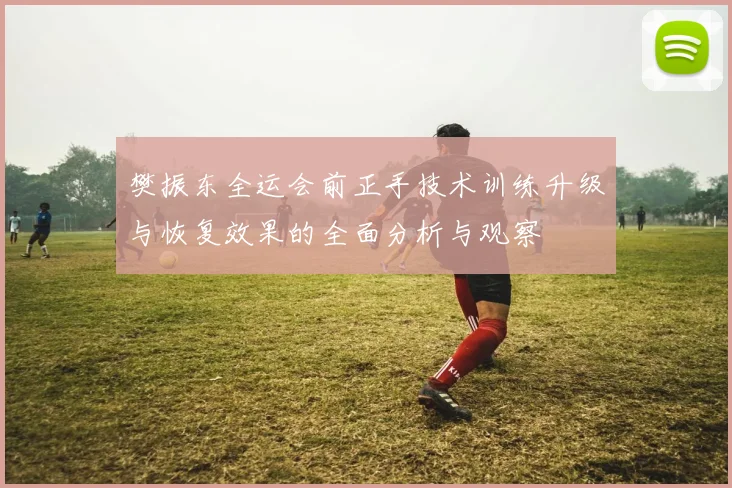 樊振东全运会前正手技术训练升级与恢复效果的全面分析与观察